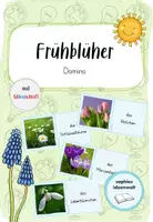Vorschau - Spiele - Domino Frühblüher - Deckblatt