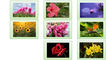 Vorschau - Bildkarten - Lesedose Blumen Grundschullore - Seite 3