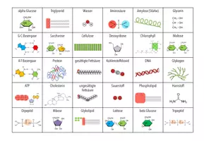 Vorschau - Arbeitsblätter - MEGA-SPARPAKET: Biochemie – 22x Spiele und Aktivitäten (Abitur) - Seite 3