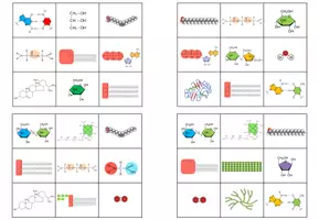 Vorschau - Spiele - Wichtige Moleküle in der Biochemie – Bingo (Abitur) - Seite 3