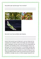 Vorschau - Arbeitsblätter - Alles rund um den Herbst - mit Lösung - Seite 3
