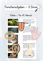 Vorschau - Arbeitsblätter - Forscheraufgaben 5 Sinne - Fühlen (Tier VS. Mensch) - Deckblatt
