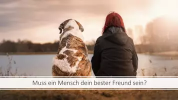 Vorschau - Präsentationen/Tafelbilder - Freundschaft - Was macht Freundschaft aus? - Seite 2