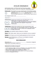 Vorschau - Unterrichtsreihen - Materialpaket: Kohlenhydrate-Kartoffel - Seite 2