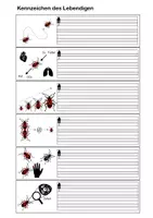 Vorschau - Mal- und Bastelvorlagen - Lapbook Kennzeichen des Lebendigen - Deckblatt