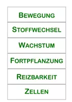Vorschau - Mal- und Bastelvorlagen - Lapbook Kennzeichen des Lebendigen - Seite 2