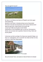 Vorschau - Arbeitsblätter - Was sind eigentlich Deiche? Aufgaben und Lösungen - Seite 1