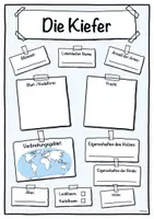 Vorschau - Unterrichtsreihen - Steckbrief Kiefer (Baum/Bäume) - Seite 1