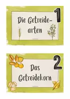 Vorschau - Stationenlernen - Reihentransparenz Getreide / Vom Korn zum Brot - Seite 3