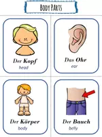 Vorschau - Bildkarten - Körperteile Bildkarten Englisch - Deckblatt