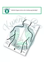 Vorschau - Arbeitsblätter - Welche Organe sind an der Verdauung des Menschen beteiligt? - Deckblatt