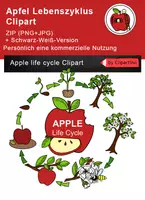Vorschau - selbst erstellte Cliparts/Grafiken - Apfel Lebenszyklus Clipart - Deckblatt