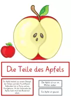 Vorschau - Stationenlernen - KLETTBOOK Apfel - Seite 2