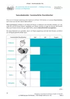 Vorschau - Stundenentwürfe - Sommerliche Durstlöscher - Seite 3