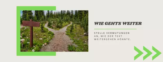 Vorschau - Aufgabenkarten - Reziprokes Lesen - Seite 3