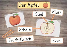 Vorschau - Bildkarten - Materialpaket Apfel: Cliparts und Bildkarten für schöne Tafelbilder - Seite 1