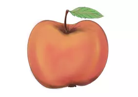 Vorschau - Bildkarten - Der Apfel: Cliparts (Bild- und Wortkarten für schöne Tafelbilder) - Seite 3