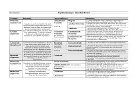 Vorschau - Arbeitsblätter - Übersicht der Herrschaftsformen Begriffserklärungen Oberstufe - Seite 2