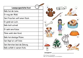 Vorschau - Arbeitsblätter - Lesespurgeschichte Hund: ) zweifach differenziert - Seite 3