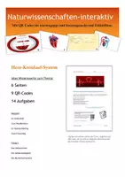Vorschau - Arbeitsblätter - Komplettpaket x4: Innere Organe und Organsysteme - Seite 1