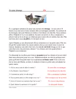 Vorschau - Arbeitsblätter - Passé Composé Packet : 4 Lectures @25% Rabatt! - Seite 3