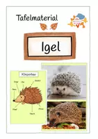 Vorschau - Poster - Tafelmaterial- Igel - Deckblatt