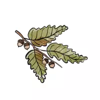 Vorschau - selbst erstellte Cliparts/Grafiken - Herbstliche Illustrationen - Seite 3