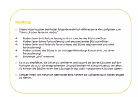 Vorschau - Fördermaterial/Inklusion - Farben lesen im Herbst - Klettmappe TEACCH - Seite 2