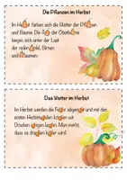 Vorschau - Arbeitsblätter - Kleckskartei - (Abschreibkartei - Thema HERBST) - Seite 2