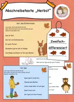 Vorschau - Arbeitsblätter - Abschreibkarten „Herbst“ Diktat Deutsch Lernworttraining - Deckblatt