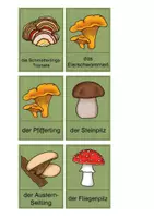 Vorschau - Bildkarten - Pilze - Bild-Wort-Kärtchen - Seite 1