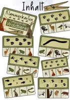 Vorschau - Fördermaterial/Inklusion - Klammerkarten Fußspuren der Waldtiere - Wildtiere Fußabdrücke - Seite 1