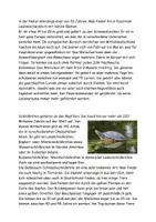 Vorschau - Stundenentwürfe - Alles rund um Amphibien und Reptilien Aufgaben+Lösung - Seite 3