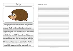 Vorschau - Aufgabenkarten - Der Igel - Differenzierte Tafel-, Abschreib- und Ansagetexte - Seite 2