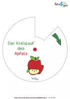 Vorschau - Stationenlernen - Kreislauf des Apfels - Drehscheibe - Seite 2