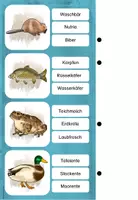 Vorschau - Stationenlernen - Tiere am und im Gewässer - Klammerkarten - Seite 2