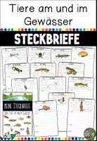 Vorschau - Arbeitsblätter - Steckbriefe zu Tieren am und im Gewässer - Deckblatt