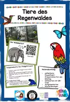 Vorschau - Präsentationen/Tafelbilder - Aufgabenkarten Tiere im Regenwald - mit QR-Codes - Deckblatt