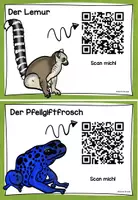 Vorschau - Präsentationen/Tafelbilder - Aufgabenkarten Tiere im Regenwald - mit QR-Codes - Seite 2
