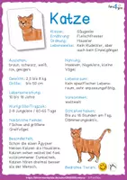 Vorschau - Mal- und Bastelvorlagen - Adventskalender - Säugetiere (Kärtchen, Forscherheft und Steckbriefe) - Seite 1
