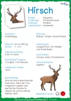 Vorschau - Mal- und Bastelvorlagen - Adventskalender - Säugetiere (Kärtchen, Forscherheft und Steckbriefe) - Seite 2