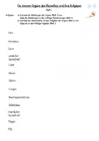 Vorschau - Arbeitsblätter - Arbeitsblatt "Aufgaben der Inneren Organe des Menschen" (2fach differenziert) - Seite 3