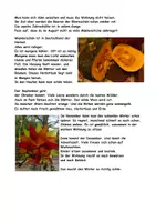 Vorschau - Stundenentwürfe - Herbst-Paket - Seite 2