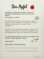 Vorschau - Arbeitsblätter - Grundschule: "Wachstumszyklus Apfel" (Deutsch, Sachkunde) - Seite 1