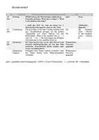 Vorschau - Stundenentwürfe - Unterrichtsstunde Englisch: Weather Chart - Seite 1