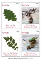 Vorschau - Spiele - Laubbäume - Ich habe..., wer hat? (in Montessorifarben) - Seite 2