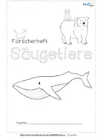 Vorschau - Arbeitsblätter - Säugetiere Forscherheft - Arbeitsblätter, 24 Tierbilder - Seite 2