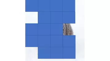 Vorschau - Präsentationen/Tafelbilder - Einführung zum Tiersteckbrief Eichhörnchen - Seite 2