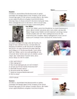 Vorschau - Text - Musik Lesung: Instrumente/Singen/Chor (DaF/DaZ) - Seite 1