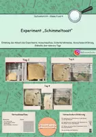 Vorschau - Arbeitsblätter - Das Materialpaket zu den Schimmelpilzen - Seite 1